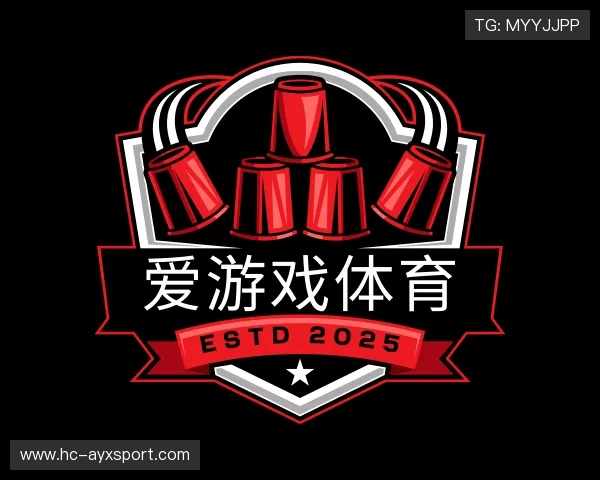 了解爱游戏正版