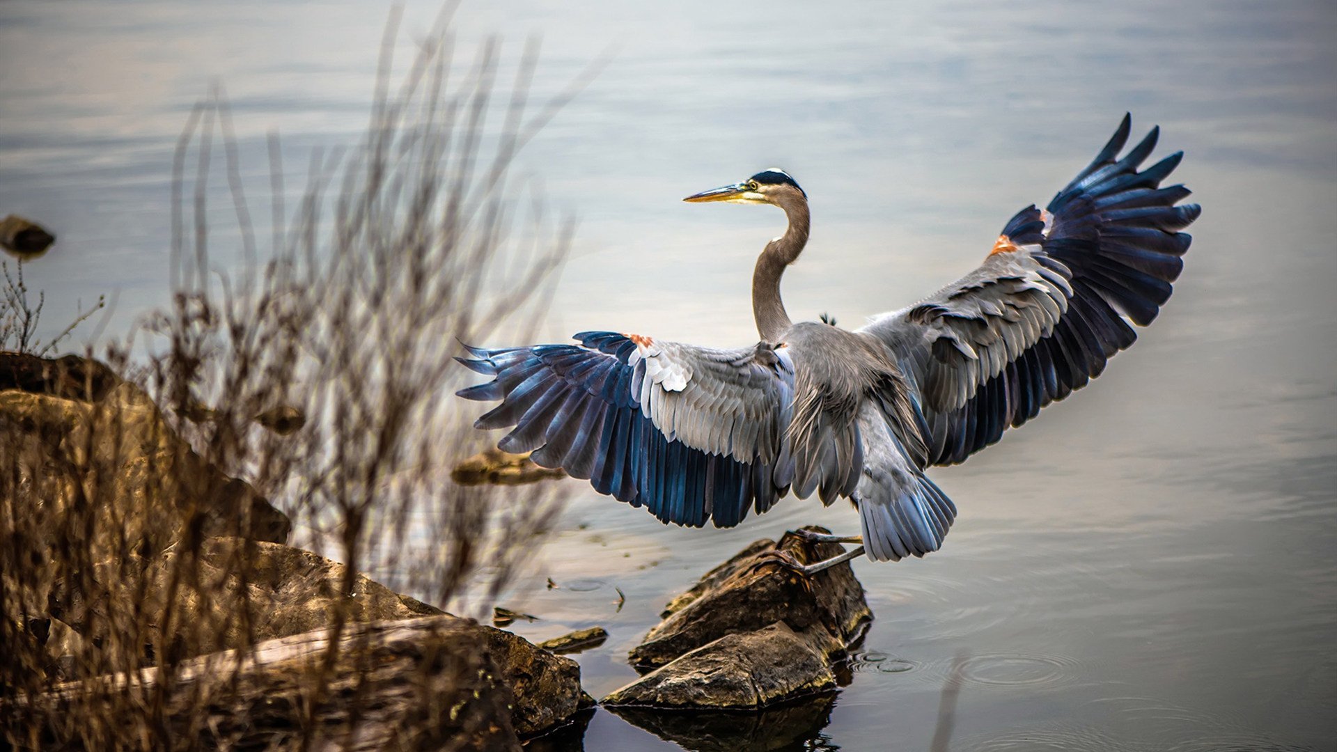 爱游戏多端接入-节奏拉开之后的比分控制能力分析，节奏把控